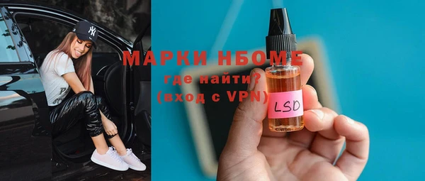 твердый Абаза